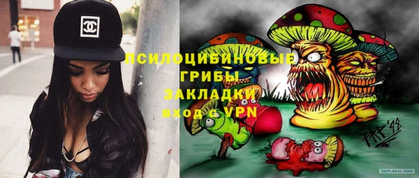 соль ск Алексеевка