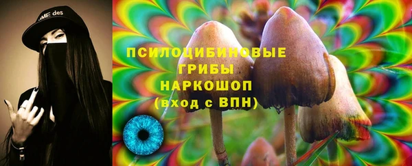 герыч Алзамай
