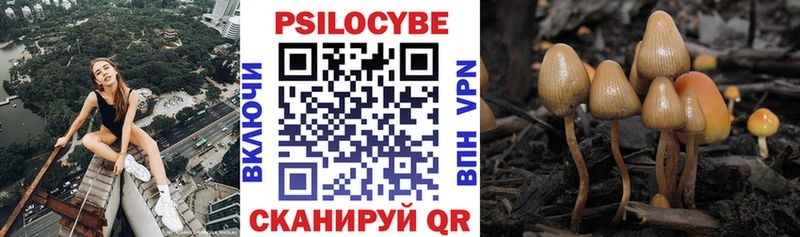 Галлюциногенные грибы прущие грибы  Североуральск 