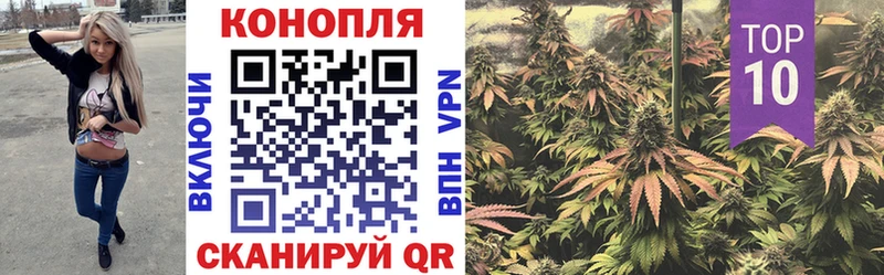 Канабис гибрид закладка гидра зеркало Североуральск